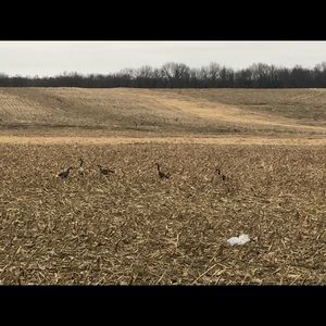 Meet your Posher, Omar